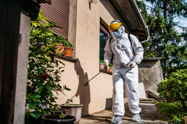 Best Local Pest Control Services  in Scottsbluff, NE