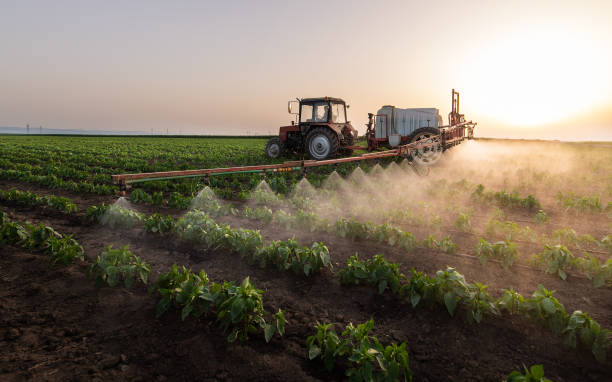 Best Pest Control for Restaurants  in Scottsbluff, NE