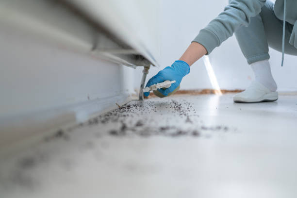 Best Residential Pest Control  in Scottsbluff, NE